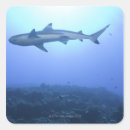 Search for angle stickers Outdoors