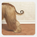 Search for afghan hound stickers Animal
