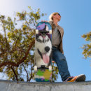 Search for huskies skateboards Cute