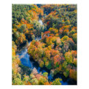Search for beautiful forest posters Orange