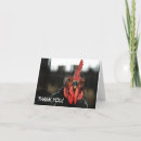 Search for funny chicken thank you cards Rooster