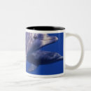 Search for mexico mugs Swim
