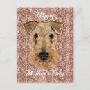 Search for airedale terrier birthday cards Terriers