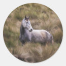 Search for grey horse stickers Equine