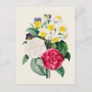 Search for pansy flower postcards Botanical