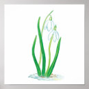 Search for snowdrop art Floral