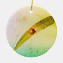 Search for ladybug christmas tree decorations Ladybird
