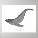 Search for black and white whale art Nature