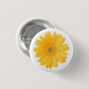 Search for yellow gerbera Girly