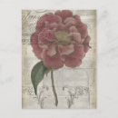 Search for iii postcards Flowers