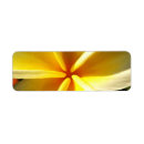 Search for hawaiian return address labels White