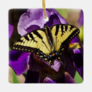 Search for yellow butterflies christmas tree decorations Wildlife