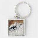 Search for unusual key rings White