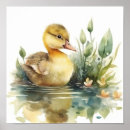 Search for duck nursery posters Pond