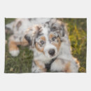 Search for australian shepherd tea towels Dog