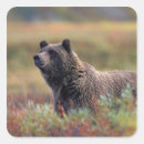 Search for nps stickers Season