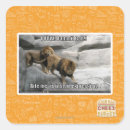 Search for bite me stickers I can has cheezburger
