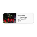 Search for hot peppers return address labels Chilli pepper