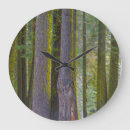 Search for tree trunk clocks Trees