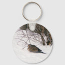Search for bird photos key rings Snow