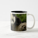 Search for giant panda mugs Bear