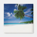Search for no people magnets Colour image