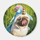 Search for pet pug magnets Funny