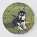 Search for siberian husky art Cute