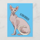 Search for sphynx cat postcards Pet