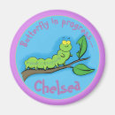 Search for caterpillar magnets Insect