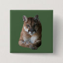 Search for “cougar badges Mountain lion
