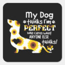 Search for funny dog saying stickers Dachshund