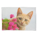 Search for kittens pillowcases For her