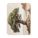 Search for pine trees magnets Nature