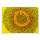 Search for giant sunflower art Yellow