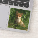 Search for pc photography Wildlife