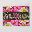 Search for hawaii turtle postcards Aloha