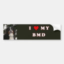 Search for bmd Mountain