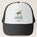 Search for tortoise hats Ocean