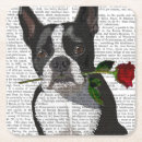 Search for boston coasters Terriers