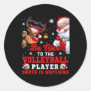 Search for volleyball players stickers Xmas