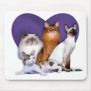 Search for rescued mousepads Breed