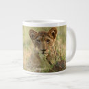 Search for baby lion mugs Animals in the wild
