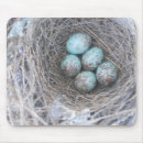 Search for nesting mousepads Wildlife