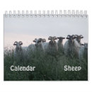 Search for sheep calendars Pets