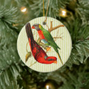 Search for parrot christmas tree decorations Cute