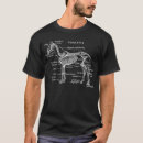 Search for skeleton horse tshirts Anatomy