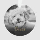 Search for elegant pet memorial ornaments Black and white