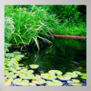 Search for lillies art Lily