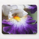 Search for purple iris mousepads White